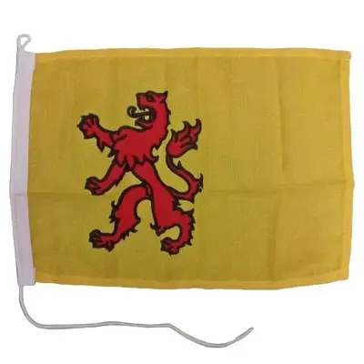 vlag-zuid-holland-20-x-30cm